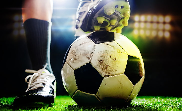 乐鱼体育室内健身十年